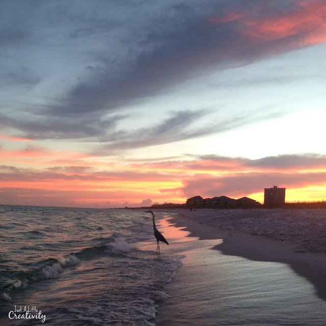 Sunsets on the Gulf Coast are gorgeous