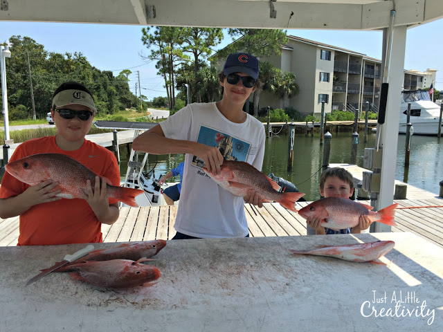 Red Snapper fishing