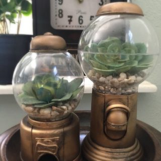 DIY Antique Gumball Machine Terrariums
