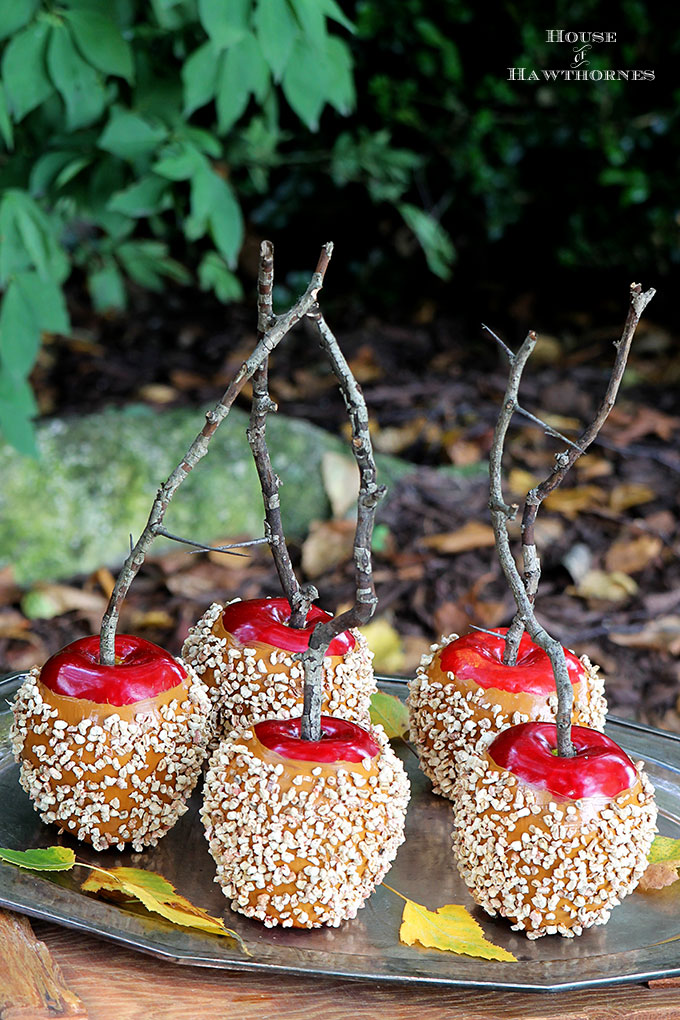 fake-caramel-apples-9059