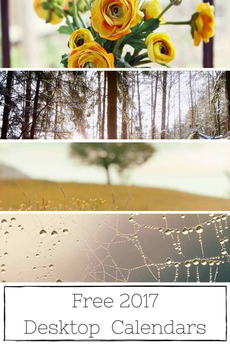Free 2017 Desktop Calendar by Making it in the Mountains
