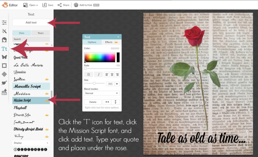 PicMonkey tutorial to add text to page