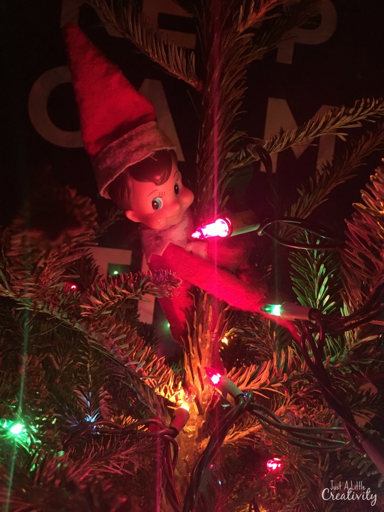 Hiding in the top of the tree
